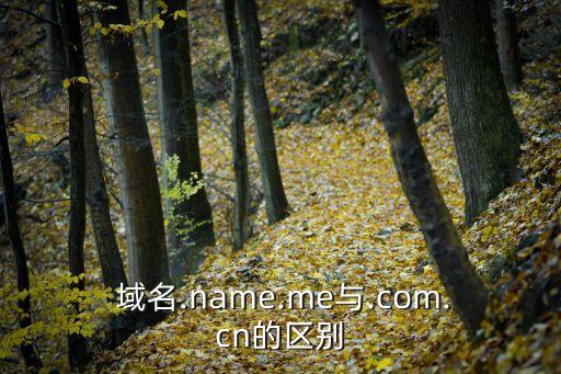  域名.name.me与.com.cn的区别