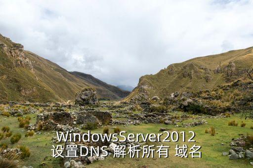 WindowsServer2012设置DNS 解析所有 域名